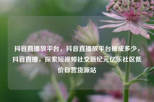 抖音直播放平台，抖音直播放平台抽成多少	，抖音直播，探索短视频社交新纪元亿乐社区低价自营货源站  第1张